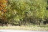 Jesenné cyklo po Strážovských vrchoch